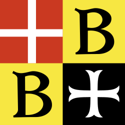 CHE Bubikon Flag